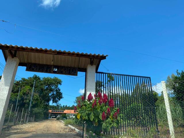 #43LGaiva - Chácara para Venda em Primavera do Leste - MT - 3