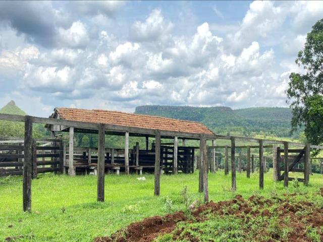 #152LGaiva - Fazenda para Venda em Primavera do Leste - MT - 3