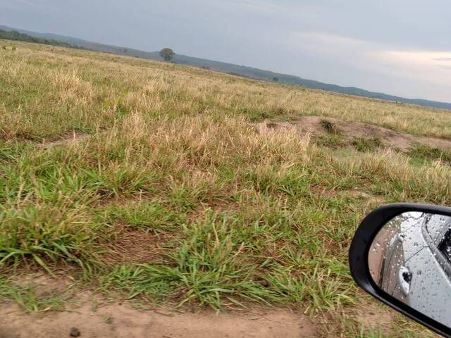 #154LGaiva - Fazenda para Venda em Primavera do Leste - MT - 2