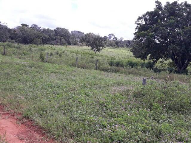 #169LGAIVA - Fazenda para Venda em Primavera do Leste - MT - 2