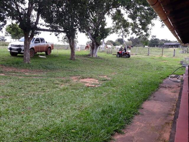 #169LGAIVA - Fazenda para Venda em Primavera do Leste - MT - 3